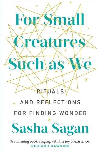 Book cover with teal text and gold geometric lines, titled “For Small Creatures Such as We.”