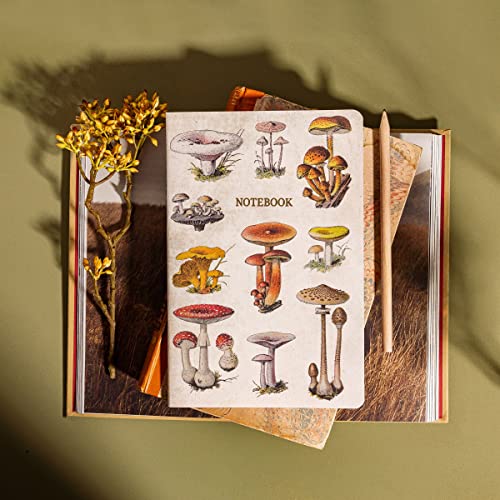 A5 notebook with vintage mushroom illustrations, styled with dried flowers.