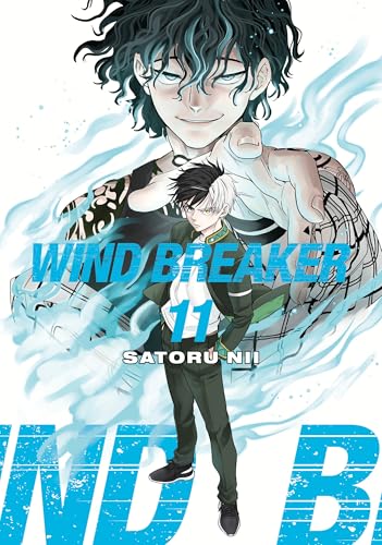 Manga cover: two young men with striking hair, title “WIND BREAKER 11”.
