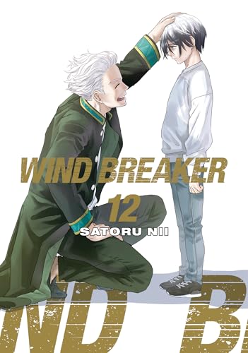 Manga cover: two young men, one kneeling, with “WIND BREAKER 12” text.