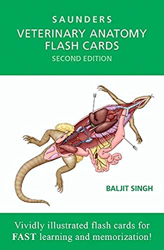 Veterinary anatomy flash cards cover displaying reptile internal organs.
