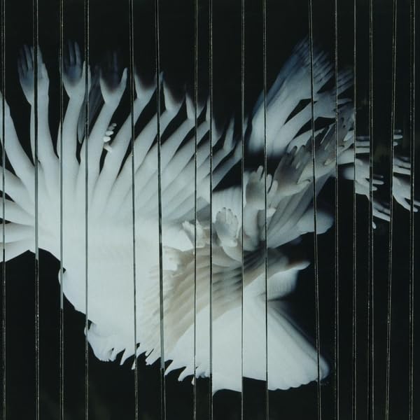 Abstract white forms resembling hands or feathers against a dark background.