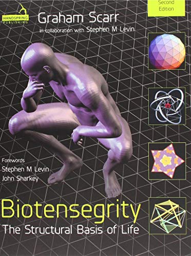 Book cover featuring a silver human figure and geometric diagrams.