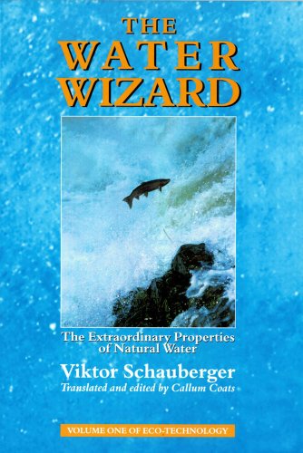 Book cover titled The Water Wizard featuring a fish jumping over a waterfall.