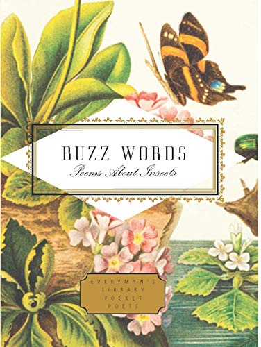 Book cover featuring botanical illustrations, a butterfly, and the title Buzz Words.