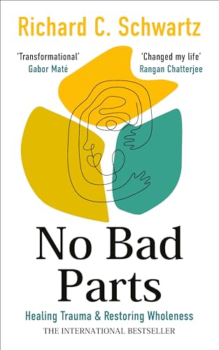 Book cover with abstract yellow and teal design, title “No Bad Parts.”