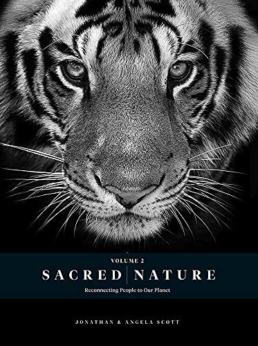 Close-up of a tiger’s face on the cover of “Sacred Nature 2.”