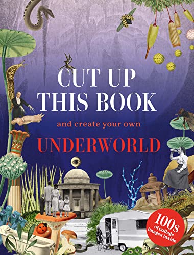 Book cover with surreal collage imagery including a building, figures, and plants on blue.