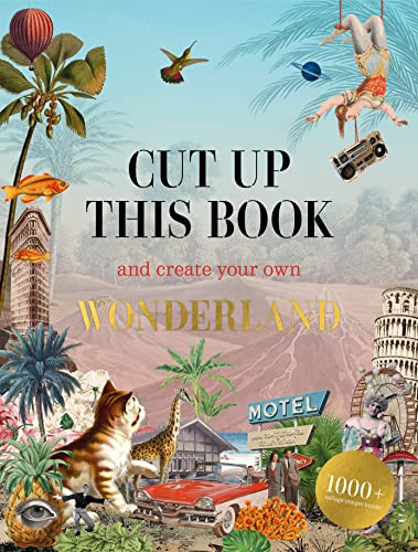 Surreal collage book cover featuring a cat, vintage car, landmarks, and floating whimsical elements.