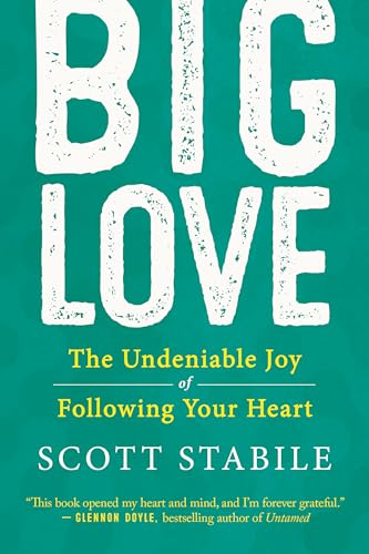 Book cover with large white text "BIG LOVE" on a teal background.