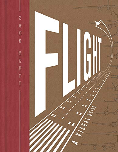 Book cover for "Flight" with large white text and airplane illustration.