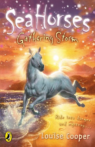 Book cover: white horse running on beach under stormy, colorful sky.