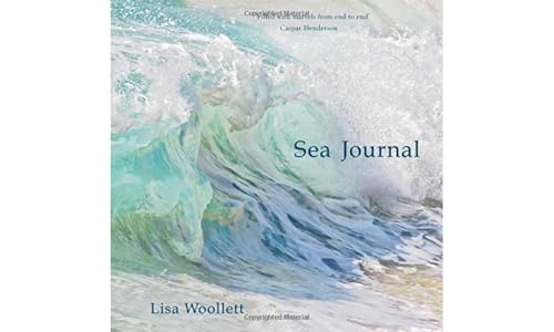 Book cover with a swirling turquoise ocean wave and title "Sea Journal".