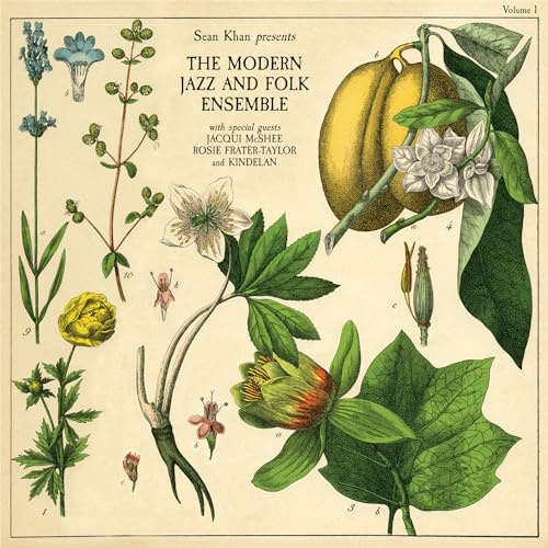 Vinyl album cover with botanical illustrations and text: "Sean Khan Presents The Modern Jazz and Folk.