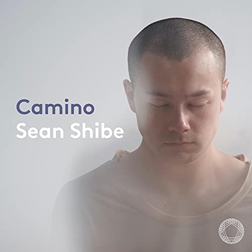 Album cover featuring a portrait of Sean Shibe with text reading Camino Sean Shibe.