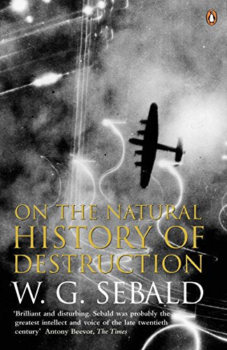 Book cover showing a silhouetted bomber plane against a night sky with searchlight beams.