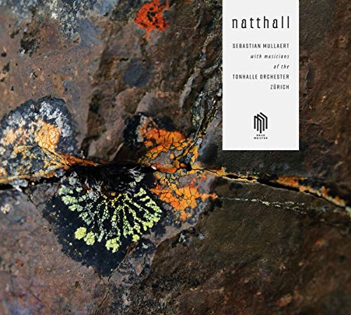 "CD cover with abstract rock texture and white text panel featuring black text and logo."