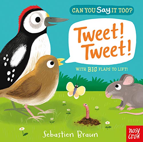 Children’s book cover featuring a woodpecker, birds, butterfly, mouse, and worm.