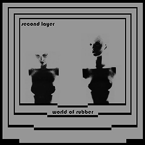 Gray album cover with blurred, mirrored figures and text.