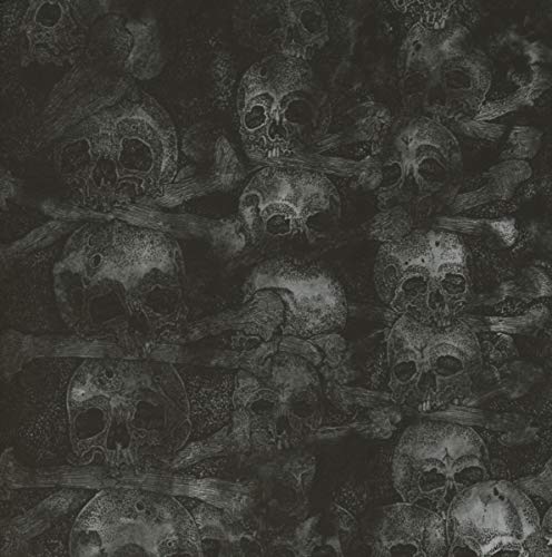 Dark, detailed illustration of skulls and bones, album cover art.
