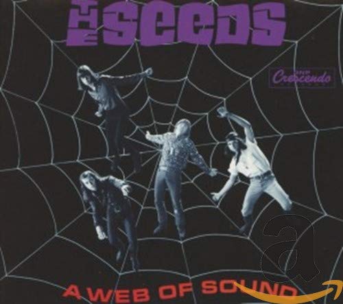 CD cover for "Seeds - A Web Of Sound" with band in a web.