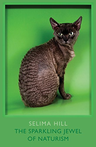 Brown curly-haired cat sitting against a bright green background.
