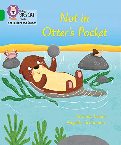 Book cover with an otter floating in water, searching for something.
