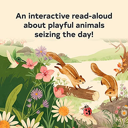 Colorful illustration of squirrels, hummingbird, and flowers in a meadow.