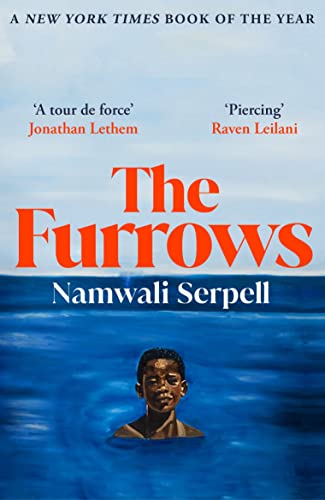 Book cover: “The Furrows” by Namwali Serpell, featuring a boy in water.
