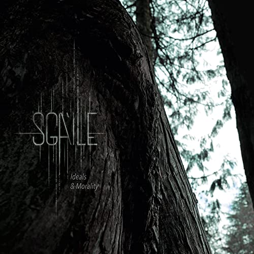 CD cover with tree bark texture and the band name "Sgaile.
