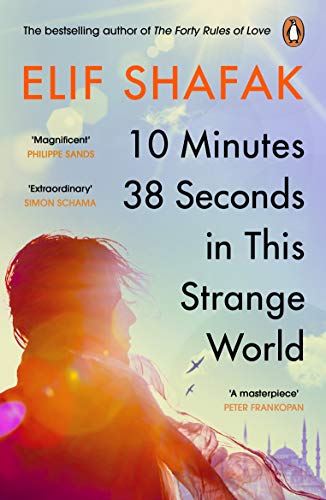 Book cover featuring a silhouette against a bright sky with a distant mosque silhouette.