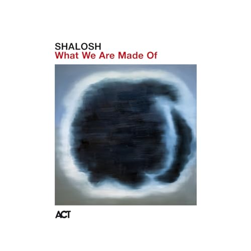 CD cover for Shalosh’s “What We Are Made Of” with abstract blue imagery.