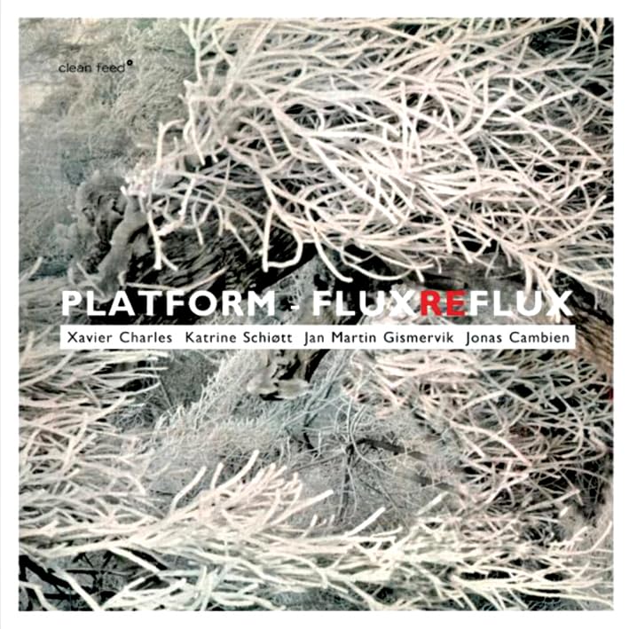CD cover with abstract white branches against a grey, textured background.