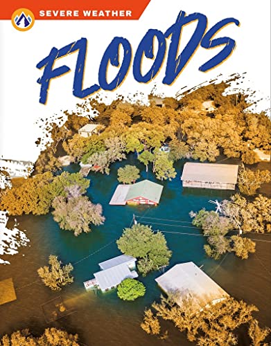 Book cover depicting flooded homes and trees after severe weather.