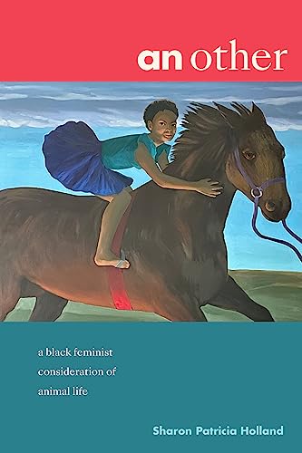 Book cover: girl riding a brown horse, teal and red background.