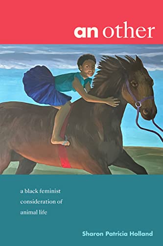 Book cover depicting a child riding a horse, titled “an other.”