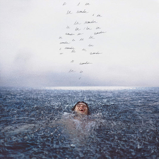 "Album cover with a man submerged in water, text dripping from the top."