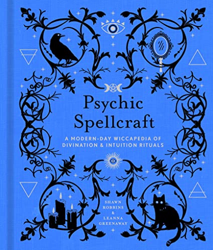 Blue book cover with ornate black designs, featuring a raven and cat.