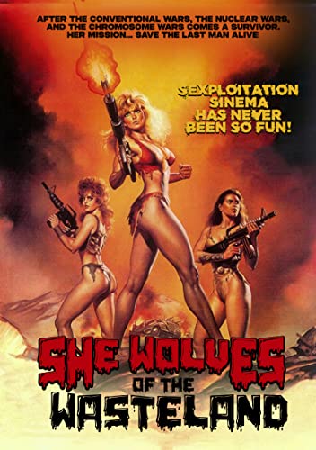 Three armed women in a post-apocalyptic wasteland scene on a DVD cover.