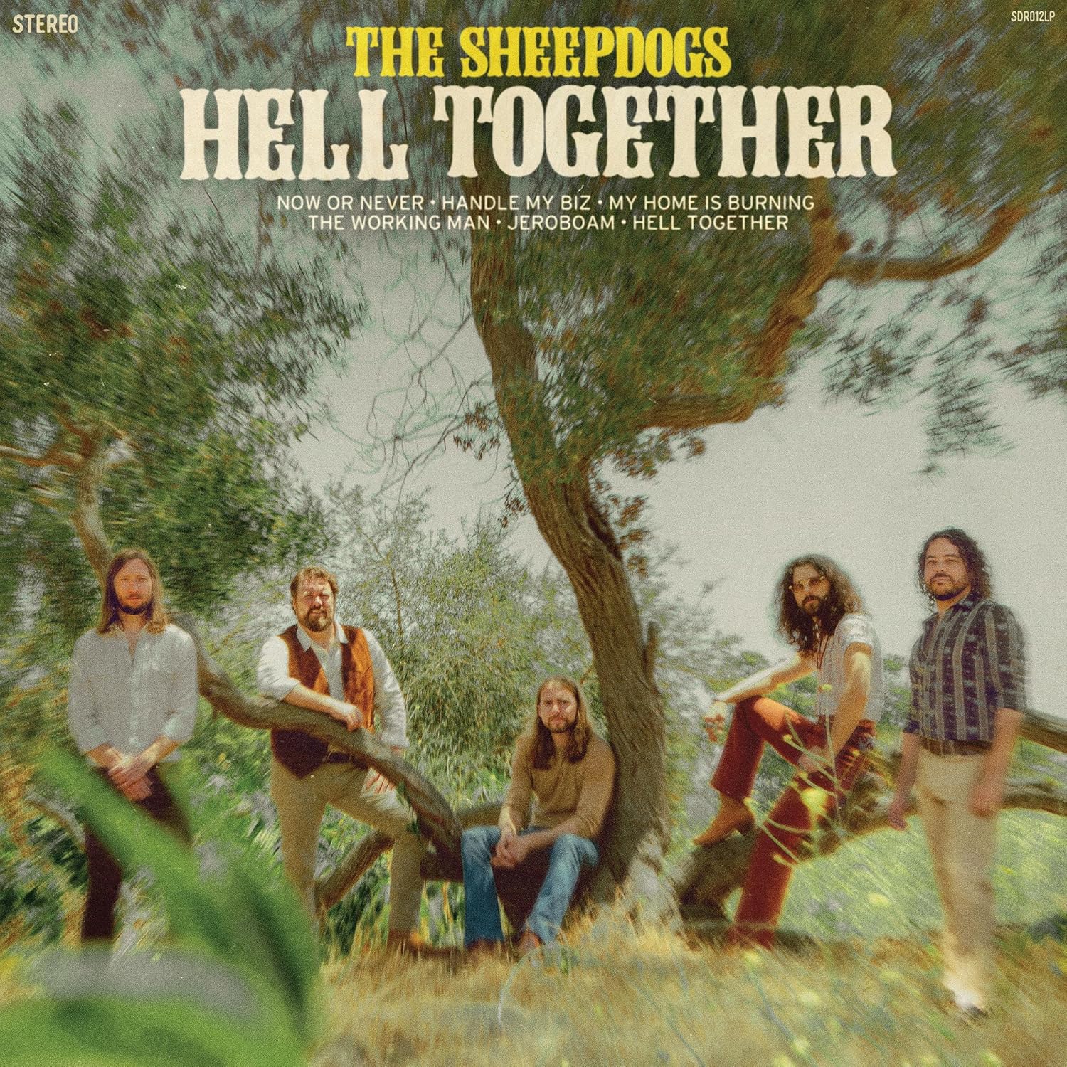 Album cover for The Sheepdogs’ “Hell Together” featuring a band in a field.