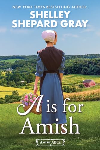Book cover: woman in Amish dress facing a rural landscape.