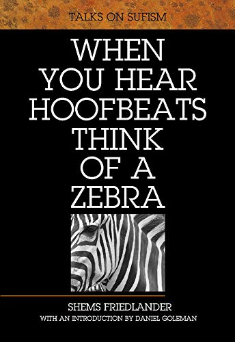 Book cover: black background, white text, zebra image, author Shems Friedlander.