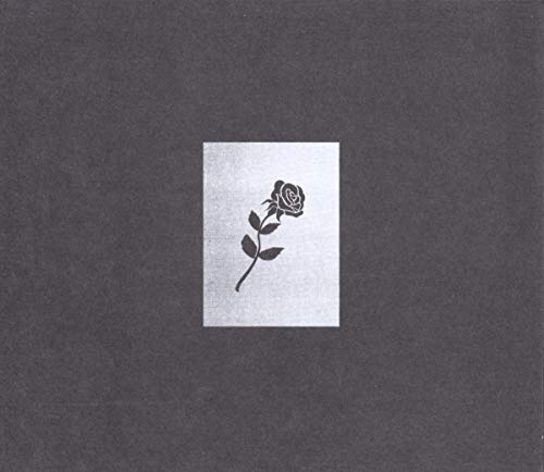 A single rose illustration centered on a light rectangle against a dark gray background.