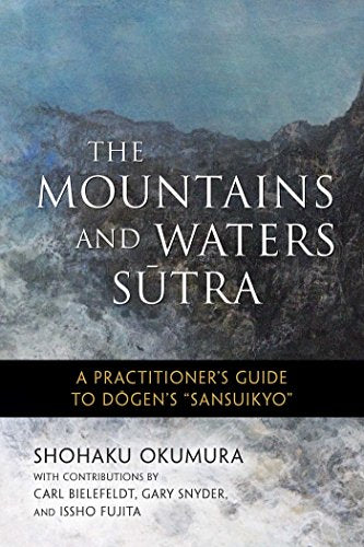 Book cover with misty mountains and the title "The Mountains and Waters Sutra.