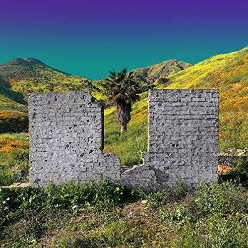 The image depicts a vinyl record cover featuring a ruined stone structure. Alt text: Ruined stone walls with palm tree and green hills behind.