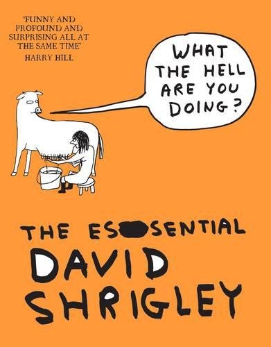 Orange book cover with a cartoon cow, person, and speech bubble.