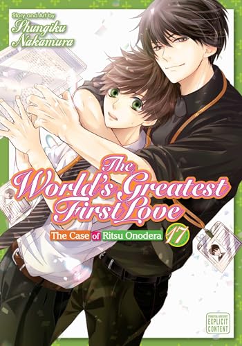 Manga cover featuring two young men in a close embrace, volume 17.