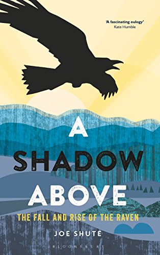 Book cover: silhouetted raven flying over blue and green landscape.