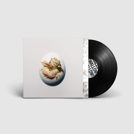 Shygirl’s “SWALLOW” vinyl record with cracked eggshell cover art.
