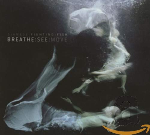 CD cover: underwater figures with flowing fabric, dark and ethereal.